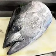 Ryu【コメ即購入まとめ買い大歓迎！！】の画像