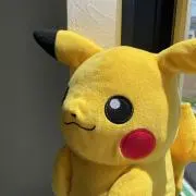 ピカピの画像