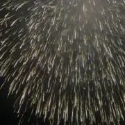 あり