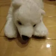☆ピース☆の画像