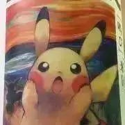 ぽむの画像