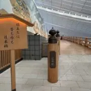 swiilrumudesuの画像
