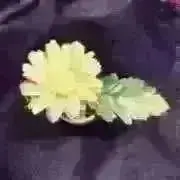 ミントチョコの画像