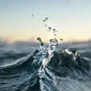 ボンドゥ　✴プロフ確認お願いします✴の画像