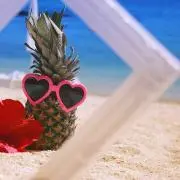 最終発送7/2(木)♻の画像