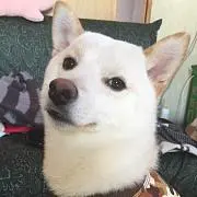 hiro