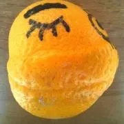 てんの画像