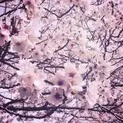 柳太郎の画像