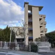 カリフの画像