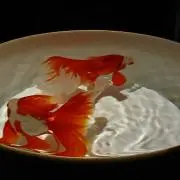 りえの画像