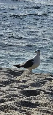 b.eの画像