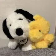 lottaの画像