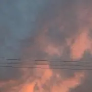 アオ