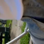 め