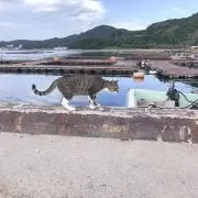 水素の画像