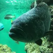 DAIDAIの画像