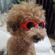 イッチ