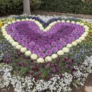 ぱやの画像