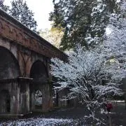 Tomoの画像