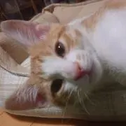 タケ兄