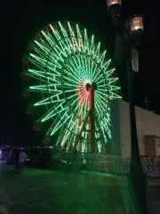 タクポンチの画像