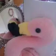 フラミンゴ   プロフィール読んで下さい