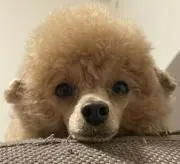 mの画像