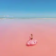 momoの画像