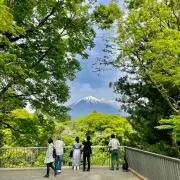 ayuyamyの画像