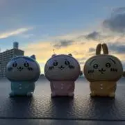 うっかり海月