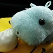 ちょっちゅる