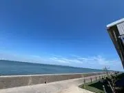 メダカの画像