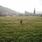 愛♡...*゜
