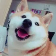 HIROMOの画像