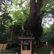 hamhamの画像