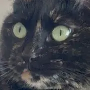 あず