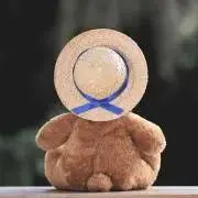 Teddyの画像