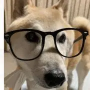 愁真の画像