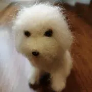 もももの画像