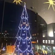 こけたんの画像