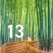 anzuの画像