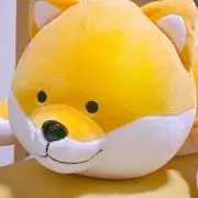 ささんの画像
