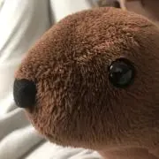 LiLの画像