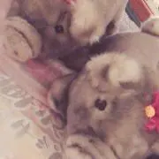 ゆう