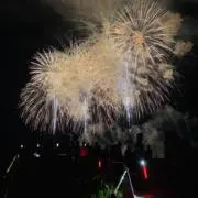ラバの画像