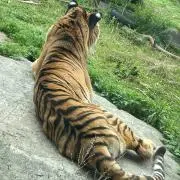 ごん　自己紹介文読んでください☺︎の画像
