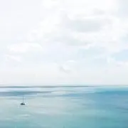 ワタリの画像