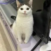 OTの画像