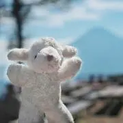 Jejeの画像
