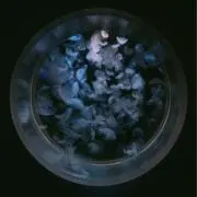 ★の画像